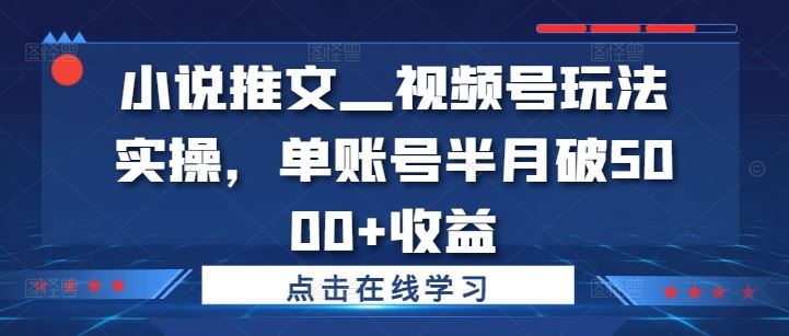 小说推文—视频号玩法实操，单账号半月破5000+收益-创业项目库
