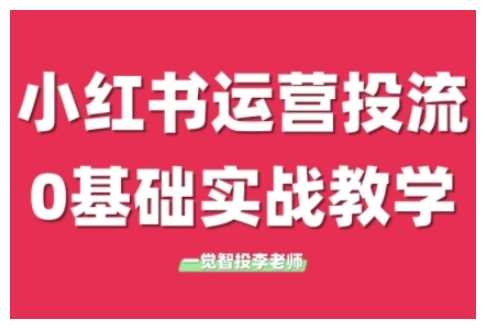 小红书运营投流，小红书广告投放从0到1的实战课，学完即可开始投放-创业项目库