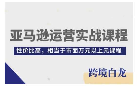 亚马逊运营实战课程，亚马逊从入门到精通，性价比高，相当于市面万元以上元课程-创业项目库