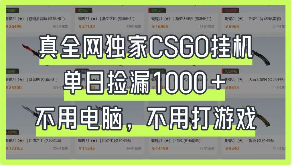 真全网独家CSGO挂机，单日捡漏1000+，不用电脑，不用养号-创业项目库