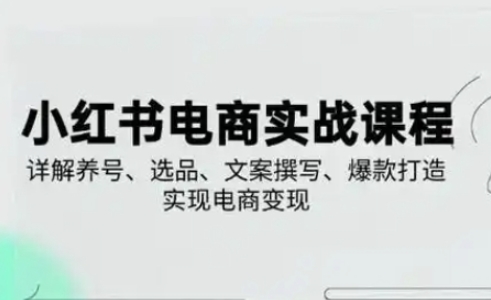 小红书从0-1实操课(2023-2025)，详解养号、选品、文案撰写、爆款打造实现电商变现-创业项目库
