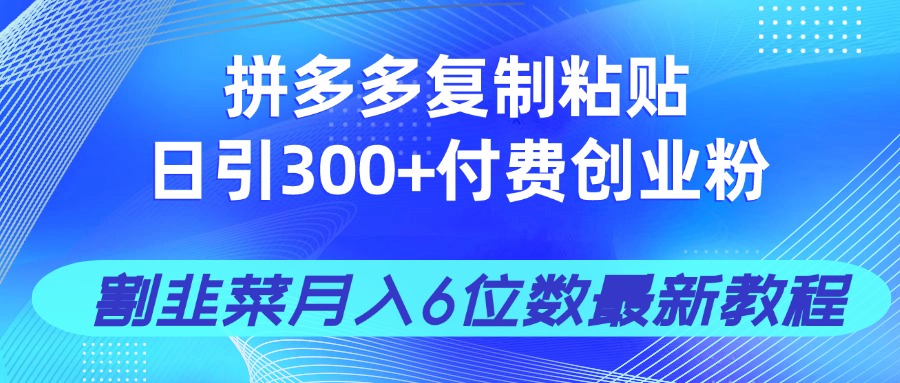 拼多多复制粘贴日引300+付费创业粉，割韭菜月入6位数最新教程！-创业项目库
