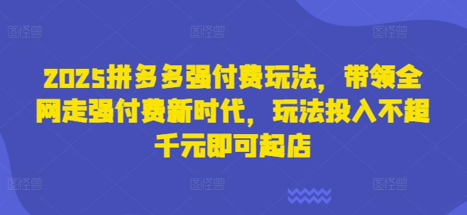 2025拼多多强付费玩法，带领全网走强付费新时代，玩法投入不超千元即可起店-创业项目库