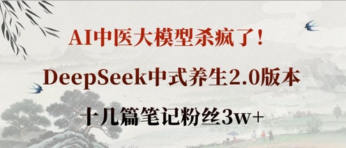 AI中医大模型杀疯了！DeepSeek中式养生2.0版本，十几篇笔记粉丝3w+-创业项目库