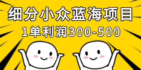 细分小众蓝海项目，一单利润3张，每月收入稳定过1w+-创业项目库