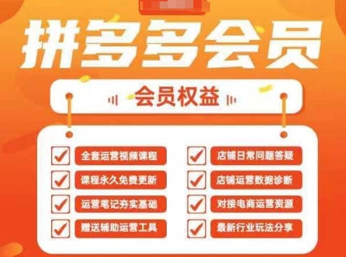 2025拼多多运营实战课，40节全流程教学，覆盖拼多多运营全链路-创业项目库