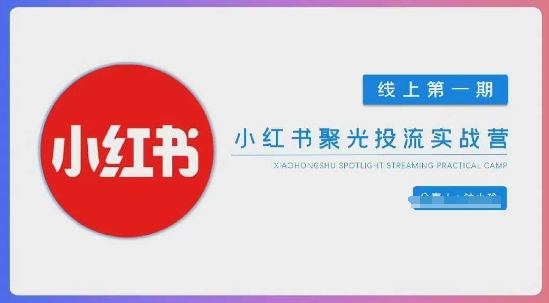 小红书聚光陪跑第一期，教你从0到1玩转小红书聚光投流，搭建小红书付费投流团队，更快的见到效果-创业项目库