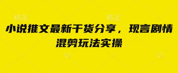小说推文最新干货分享，现言剧情混剪玩法实操-创业项目库
