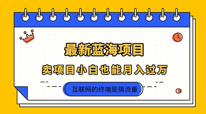 2025年最新蓝海项目，卖项目小白也能月入过万-创业项目库