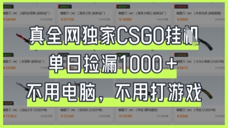 真全网独家CSGO挂G，单日捡漏1k+【揭秘】-创业项目库