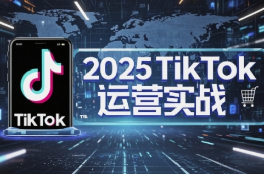2025TikTok电商运营，掌握TikTok店铺运营核心技巧，实现低成本高转化-创业项目库