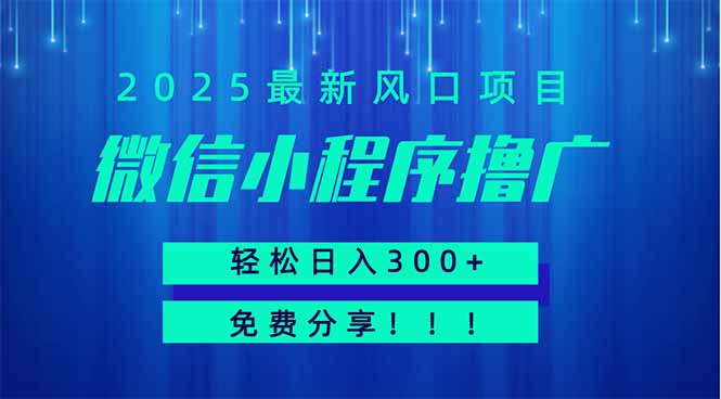微信小程序撸广，最新风口项目，日入300+ 免费分享 可批量操作 小白可…-创业项目库