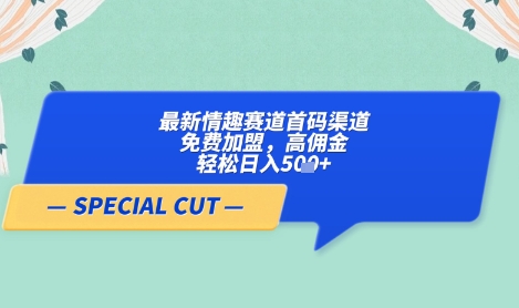 【轻云】最新情趣赛道首码渠道，免费加盟，高佣金，轻松日入5张+-创业项目库