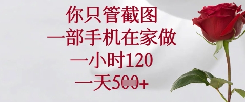 你只管截图，一部手机在家做，苹果安卓都可以，一小时120，一天5张+【揭秘】-创业项目库