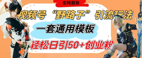 视频号“野路子”玩法，评论区疯狂截流，一套模板单日单号引流50+创业粉-创业项目库