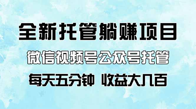 全新托管躺赚项目，微信视频号公众号托管代运营，每天五分钟，收益大几百-创业项目库