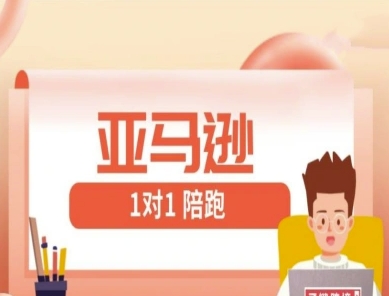 亚马逊1对1陪跑课(FBA/FBM精铺)跨境亚马逊教程-创业项目库