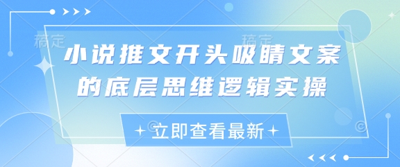 小说推文开头吸睛文案的底层思维逻辑实操-创业项目库