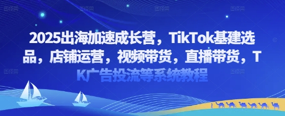 2025出海加速成长营，TikTok基建选品，店铺运营，视频带货，直播带货，TK广告投流等系统教程-创业项目库