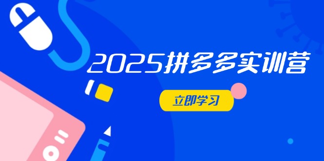 2025拼多多实训营：深度剖析运营关键，助力电商人快速提升-创业项目库