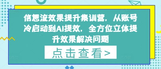 信息流效果提升集训营，从账号冷启动到AI提效，全方位立体提升效果解决问题-创业项目库