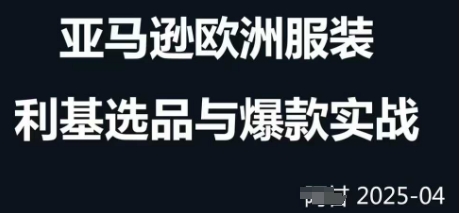 跨境电商选品案例24-25年，聚焦跨境电商选品策略与运营优化，助力卖家挖掘蓝海市场-创业项目库