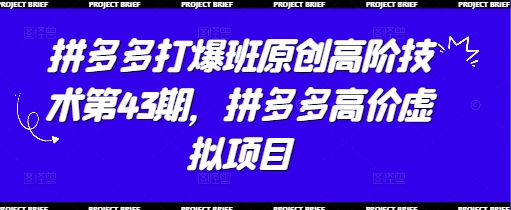 拼多多打爆班原创高阶技术第43期，拼多多高价虚拟项目-创业项目库