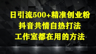 日引流500+精准创业粉，抖音共情自热打法，工作室都在用的方法-创业项目库
