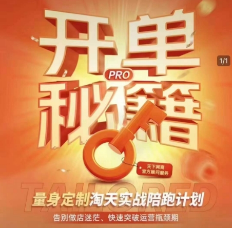 淘宝开单秘籍PRO，量身定制淘天实战陪跑计划，告别做店迷茫、快速突破运营瓶颈期(更新)-创业项目库