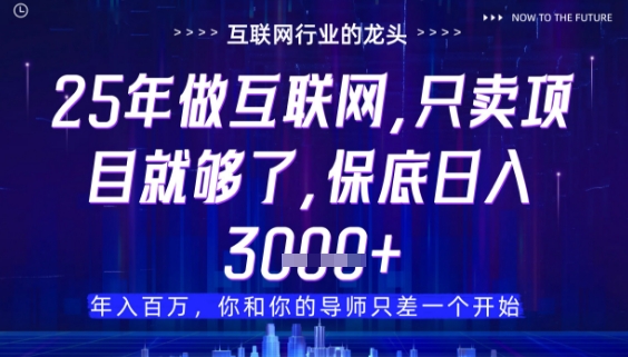 什么！25年你还在找项目做？风口早就变了，卖项目才是稳挣不赔【揭秘】-创业项目库
