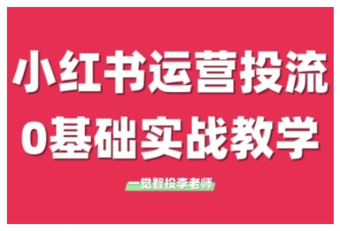 小红书运营投流，小红书广告投放从0到1的实战课，学完即可开始投放(更新)-创业项目库