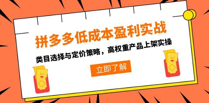 拼多多低成本盈利实战，类目选择与定价策略，高权重产品上架实操-创业项目库