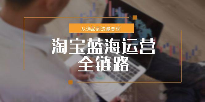淘宝蓝海运营全链路，从选品到流量变现，小类目突围完整方案-创业项目库