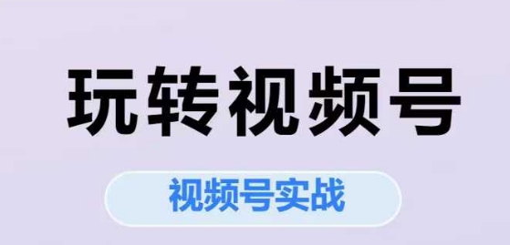 玩转视频号，视频号实战系列课-创业项目库