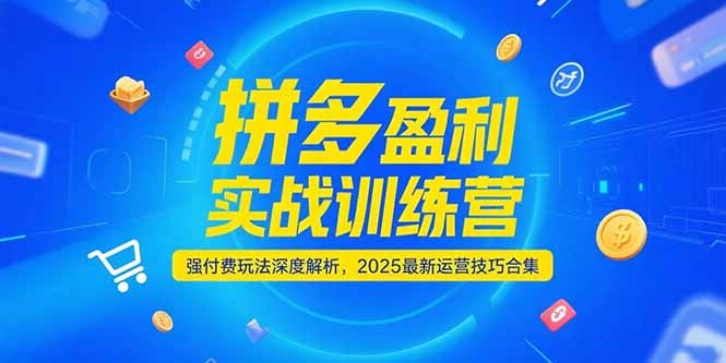 拼多多盈利实战训练营，强付费玩法深度解析，2025运营技巧合集-更新6月-创业项目库