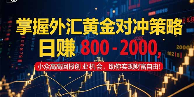掌握外汇黄金对冲策略，日赚 800 – 2000，小众高回报创业机会，助你实…-创业项目库