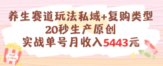 养生赛道玩法私域+复购类型，20秒生产原创实战单号月收入5k+-创业项目库