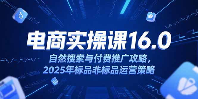 淘宝电商运营课16.0，自然搜索与付费推广攻略，2025年标品非标品运营策略-创业项目库