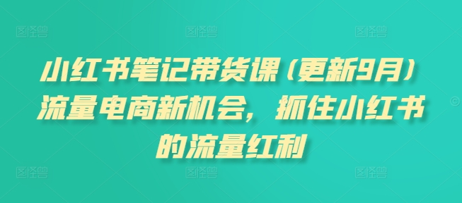 小红书笔记带货课(更新25年6月)流量电商新机会，抓住小红书的流量红利-创业项目库