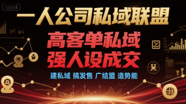 一人公司私域联盟，高客单私域，强人设成交，建私域 搞发售 广结盟 造势能-创业项目库