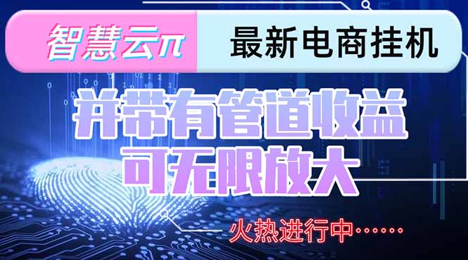 智慧云π电脑挂机单机每天收益300—500+ 并带有团队管道收益 可无限放大-创业项目库