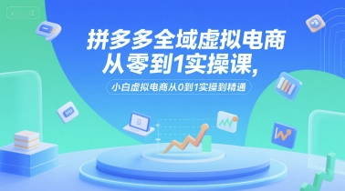 拼多多全域虚拟电商从零到1实操课，小白虚拟电商从0到1实操到精通-创业项目库