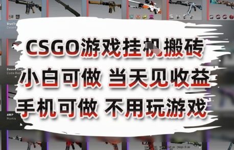 CSGO游戏挂G搬砖，小白纯手机即可操作，不用电脑打游戏，日入3张+，副业网创项目【揭秘】-创业项目库