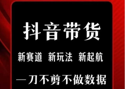 抖音短视频一刀不剪带货，不剪辑，不直播，每天发个视频，等着出单获取带货佣金-创业项目库
