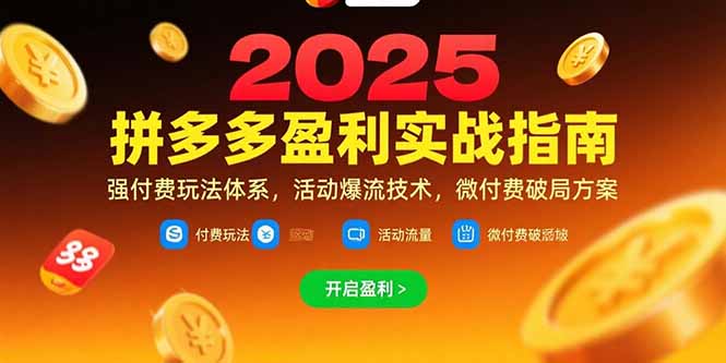 拼多多盈利实战指南，强付费玩法，活动爆流技术，微付费破局方案(更新7月-创业项目库