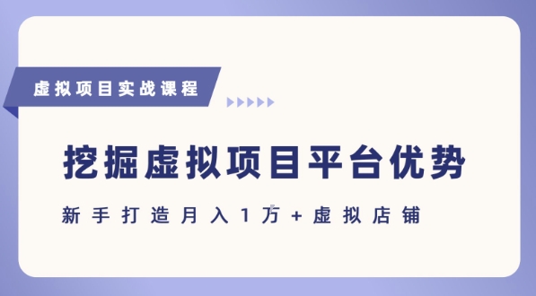 抓住虚拟项目各平台优势，新手轻松月入1W+(给出具体建议)-创业项目库