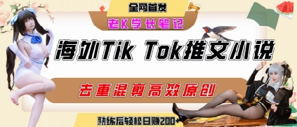 海外tiktok小说推文暴力项目，高停留率，高转化率，上手后一天搞顿饭钱不是问题-创业项目库