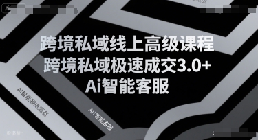 跨境私域线上高级课程，跨境私域极速成交3.0+Ai智能客服-创业项目库