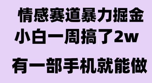 情感暴力掘金项目，新人操作一周挣了2W，长期稳定小白可做【揭秘】-创业项目库
