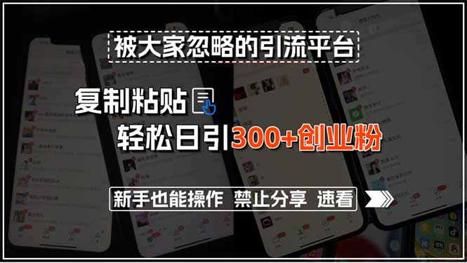 被大家忽略的引流平台，复制粘贴轻松日引300+创业粉，新手也能操作，禁…-创业项目库